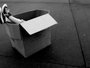 TheBoxCommunity =]