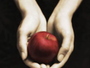 Twilight Fans !!!!!