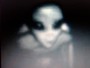 Captive GRAY ALIEN CHAT