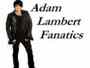 Adam Lambert Fanatics