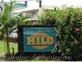 allaboutthebigisland