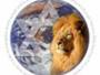 Messianic Moms Virtual Shul
