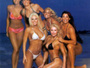 Wrestling Divas