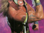 Ultimate Warrior
