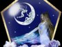 The Gossamer Nebula Reader's Haven