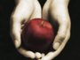 Twisters Twilight Movie