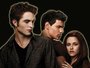 TeamTwilight