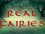 Real Fairies net
