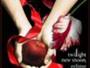 TheTwilightSagaSociety