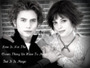 Love Life Twilight